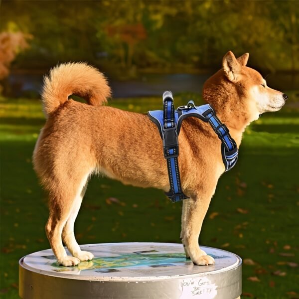 Trail2Tail™ 6-Piece Urban Dog Harness Kit – Reflective Everyday Set for City Adventures - Image 12