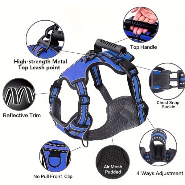 Trail2Tail™ 6-Piece Urban Dog Harness Kit – Reflective Everyday Set for City Adventures - Image 6