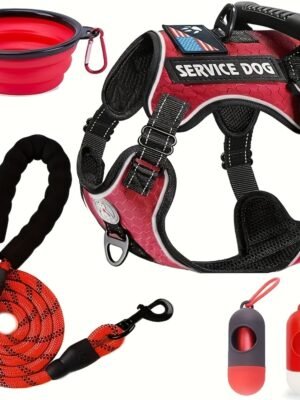 Trail2Tail™ Urban Essential Kit