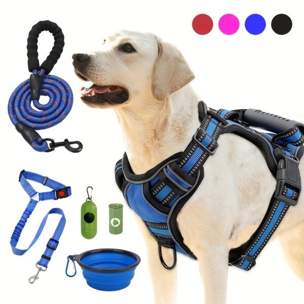 Trail2Tail Urban Dog Harness Kit – Labrador wearing reflective blue harness with matching leash, collapsible water bowl, seatbelt clip, poop bag holder, and waste bags. Available in multiple colors for small to large dogs.