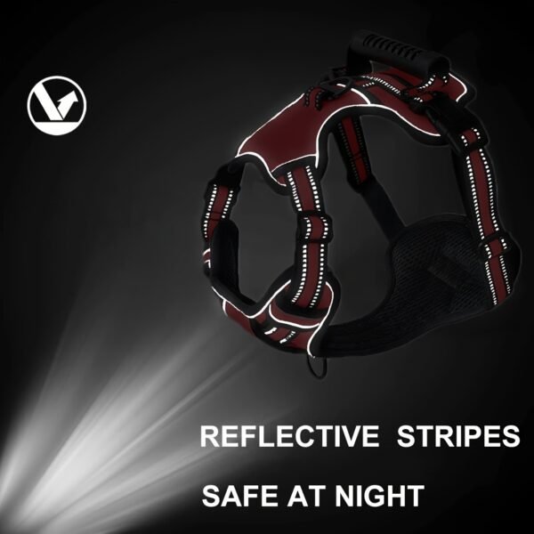Trail2Tail™ 6-Piece Urban Dog Harness Kit – Reflective Everyday Set for City Adventures - Image 10
