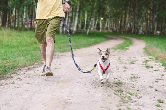 Cool tools that make your adventures easier and more fun.