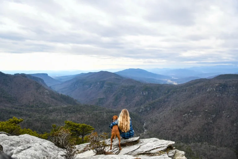 Trail2Tail’s Favorite Dog-Friendly Trails in North Carolina