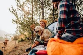 “Why Every Dog Owner Needs an Adventure Bucket List”