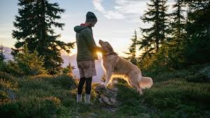 dog-person-sunset