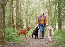 dogs-hiking-in-woods