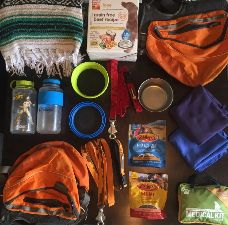 dog-travel-essentials